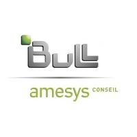 Amesys Conseil